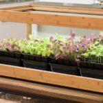How to Grow an Indoor Herb Garden 2019 | The Strategi