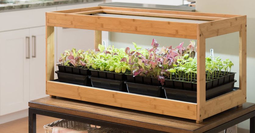 How to Grow an Indoor Herb Garden 2019 | The Strategi