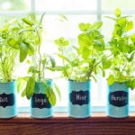 How to Make an Indoor Window Sill Herb Garden - The Gracious Wi