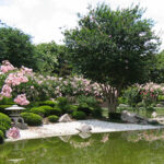 Hermann Park Japanese Garden | TC