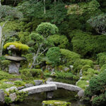 A Guide to Japanese Garden Style – KonMari | The Official Website .