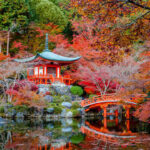 Brief Intro to Japanese Gardens | LIVE JAPAN travel gui