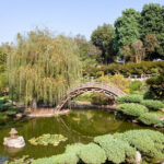 Japanese Gardens in Los Angeles and Where to Find Th
