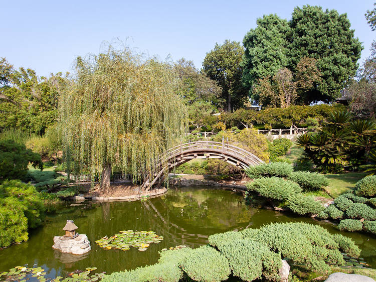 Japanese Gardens in Los Angeles and Where to Find Th
