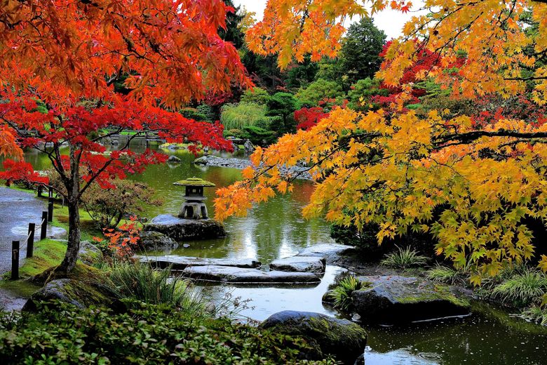 The Seattle Japanese Garden turns 60 with fitting testaments to .