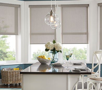 Roller Shades, Custom Roller Shades, Window Shades - Budget Blin