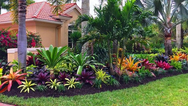 25+ Cheap Florida Backyard Landscape Ideas and Designs For 2024 .