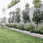 400 L: Fenceline Landscaping ideas in 2024 | backyard landscaping .