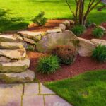 5 Cheap Landscaping Ideas When You're On a Budget – Forbes Ho