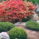 The Best Landscaping Rocks for Front Yard Features - Salisbury .