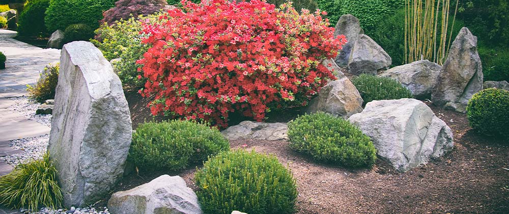 The Best Landscaping Rocks for Front Yard Features - Salisbury .