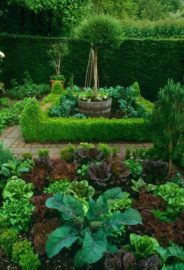 You'll Need It! The Ornamental Kitchen Garden | Garden design .