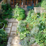 ornamental kitchen garden: sustenance in the city - carol whitehe
