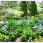 Ornamental Vegetable Garden Plants, Ideas, Pictur