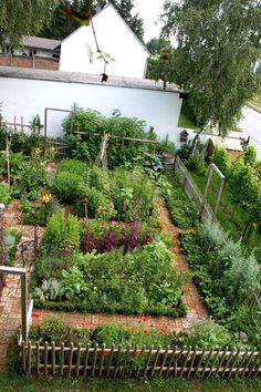 22 Ornamental Vegetable Garden ideas | vegetable garden, veggie .