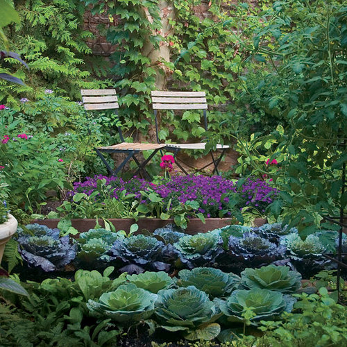 Who Says a Kitchen Garden Can't Be Beautiful? - FineGardeni