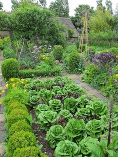 22 Ornamental Vegetable Garden ideas | vegetable garden, veggie .