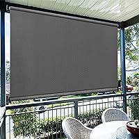 Amazon.com: Amagenix Outdoor Roller Shades 6'(W) x 8'(H), Exterior .