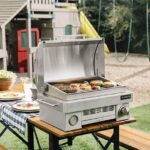Small Gas Grill: The 5 Best Options of 2024, Plus In-Depth .
