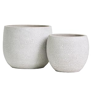 Amazon.com : Olly & Rose Barcelona Ceramic Plant Pot Set 2 - White .