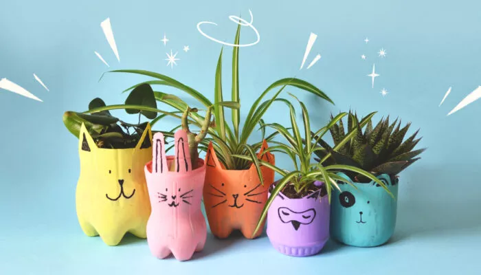 Make these recycled planet-saving plant pots | Wonderbly Bl