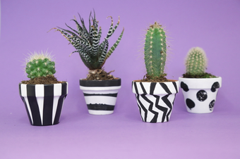 Make an Op Art Plant Pot | Tate Ki