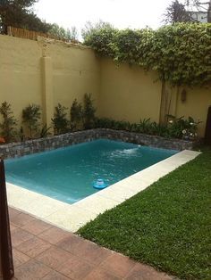 670 Tiny Pools Tiny Spaces ideas | pool, small pools, backyard po