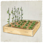 Raised-Bed Gardening for Beginners: Everything You Need to Know to .