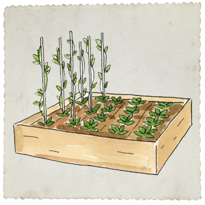 Raised-Bed Gardening for Beginners: Everything You Need to Know to .