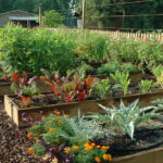 Raised Bed Garden from A - Z | What to Know | joe gardener