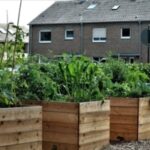 Dos & Don'ts of Raised Bed Gardening | Piedmont Master Gardene