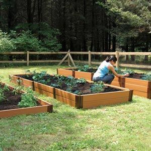 Raised Bed Gardens - Growers Supp