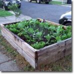 How to Build a Cheap Raised Garden B