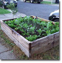 How to Build a Cheap Raised Garden B
