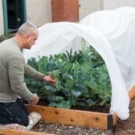 Guide to Raised Beds: Plans, Timing, Tending | Gardener's Supp