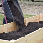 Yard and Garden: Raised Bed Questions Answered | Ne