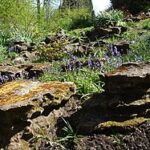 Rock garden - Wikiped