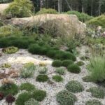 Plant a Mini Alpine & Rock Garden | Coastal Maine Botanical Garde