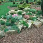 How to Build a Rock Garden | HowStuffWor