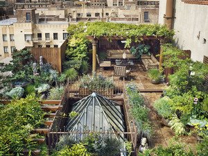 URBAN ROOFTOP AND TERRACE — Gardening Resources — Todd Haiman .