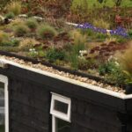 The Green Roof Garden – Herbidacio