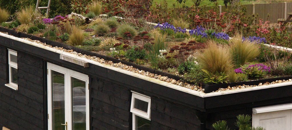 The Green Roof Garden – Herbidacio