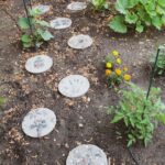 DIY Stepping Stones: Transform Your Garden with this Easy Craft .