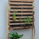 How to Build a Vertical Garden Using Palle