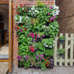 PlantBox Living Wall System – Growing Revoluti