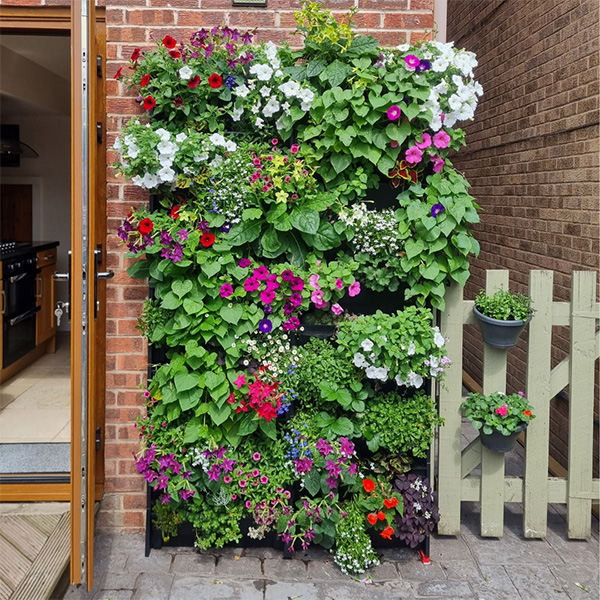 PlantBox Living Wall System – Growing Revoluti