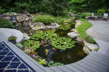 Aquascape | Water Gardens, Outdoor Fountains and Pond Pum