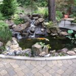 Water Garden Design: Creating Natural Waterscapes - Landscaping .
