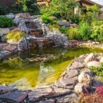 Water Gardening 101: Backyard Pond Ideas On A Budget - S