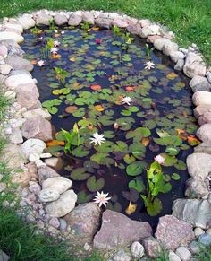 580 Ponds, Puddles and Plants ideas | water garden, water features .